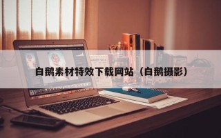 慈溪白鹅素材特效下载网站（白鹅摄影）